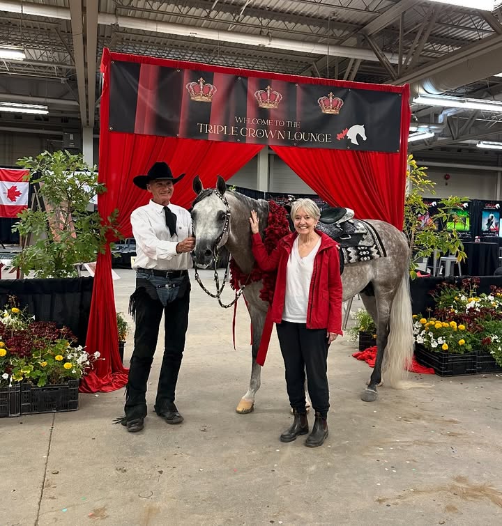 🌹 MOONSHADOW PGA 🌹 Canadian National Champion Arabian Western Pleasure Open shown by Jim Lowe…