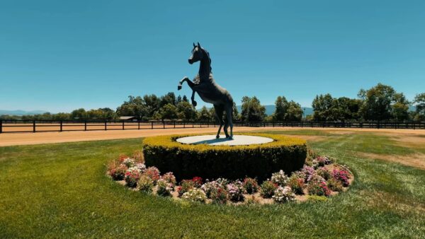 EXACTLY LIKE NOTHING ELSE.
Lowe Show Horse Centre at Landon Equestrian. The place to Be(lieve).
