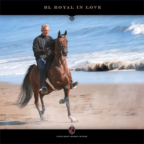 National Champion BL ROYAL IN LOVE Sired by VJ Royal Heir and out of BL…