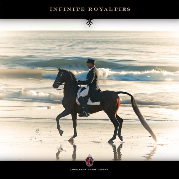 INFINITE ROYALTIES Sired by VJ Royal Heir and out of Infinity CSP, INFINITE ROYALTIES is…