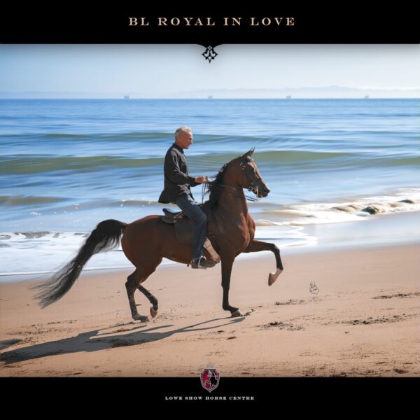 National Champion BL ROYAL IN LOVE Sired by VJ Royal Heir and out of BL…