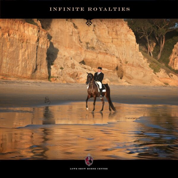INFINITE ROYALTIES Sired by VJ Royal Heir and out of Infinity CSP, INFINITE ROYALTIES is…