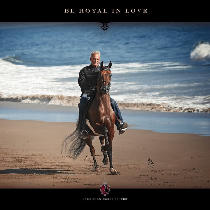 National Champion BL ROYAL IN LOVE Sired by VJ Royal Heir and out of BL…