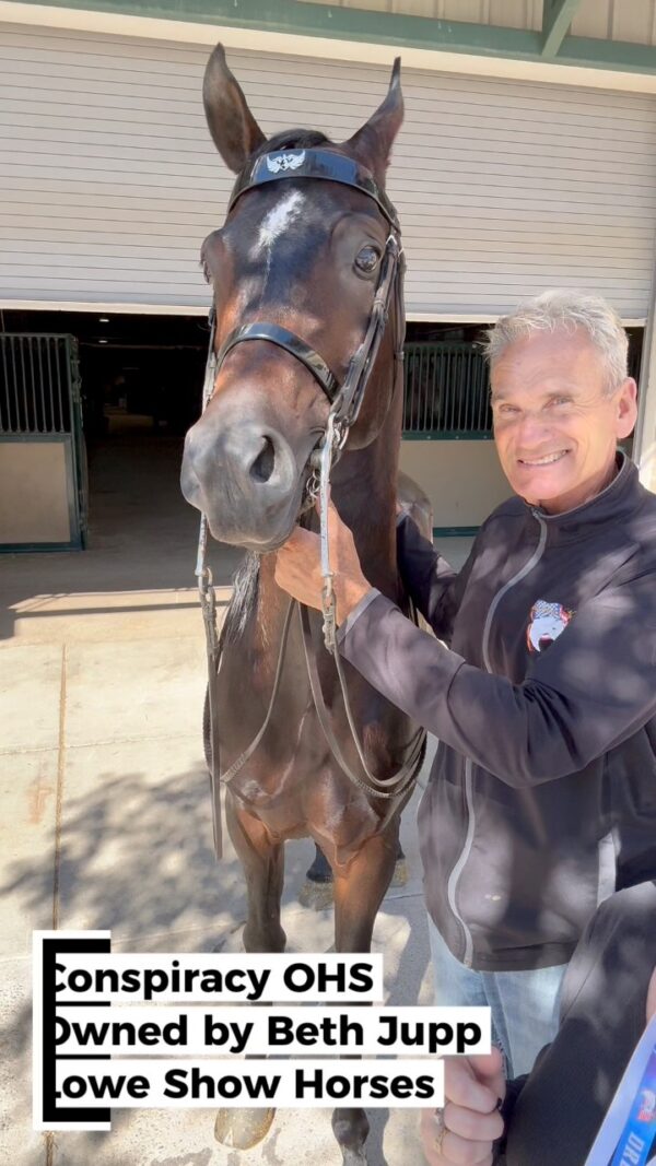 Video by Lowe Show Horse Centre