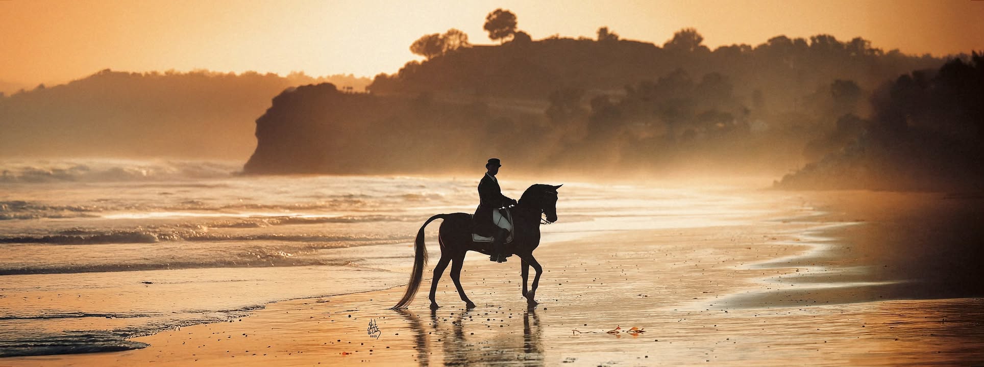 Photo by Lowe Show Horse Centre