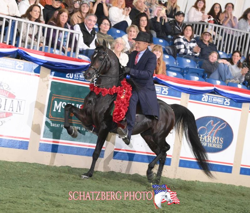 Lowe Show Horse Centre