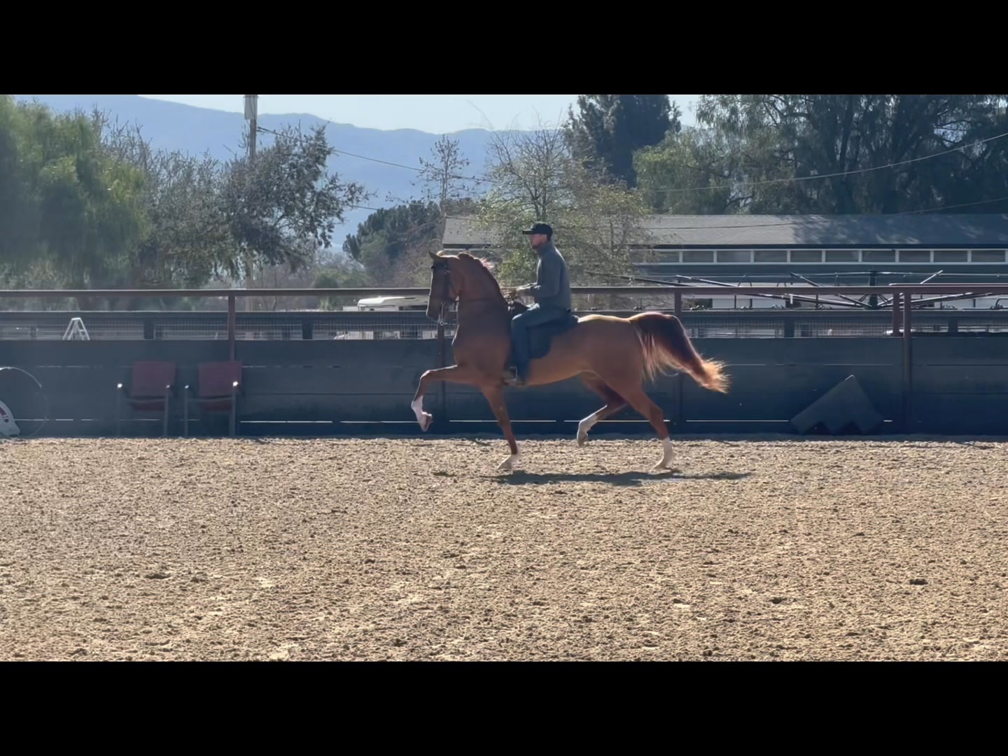 Lowe Show Horse Centre