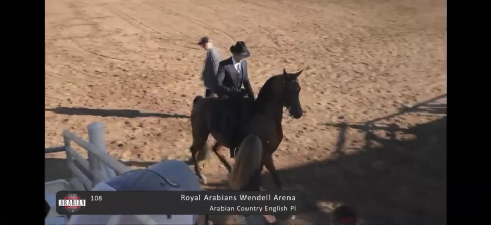 Lowe Show Horse Centre