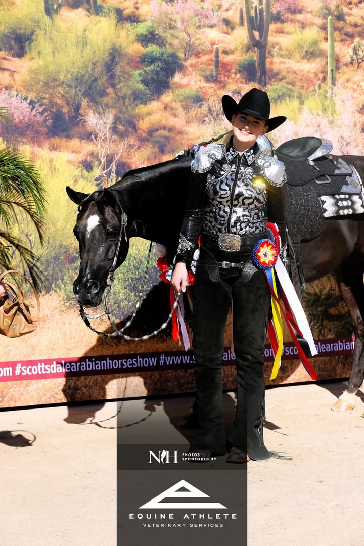 Lowe Show Horse Centre